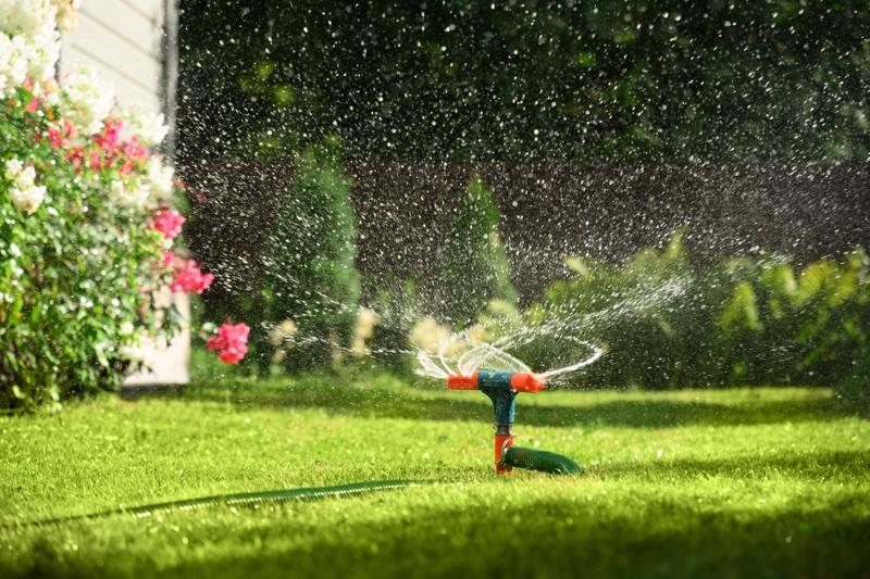 Watering grass