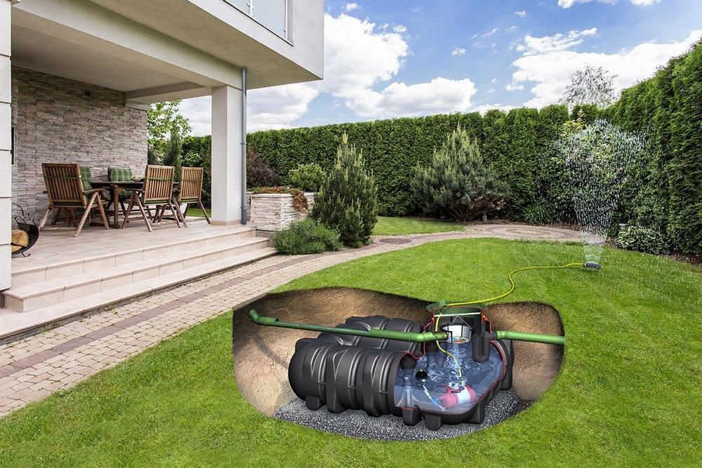 Platin in tuin